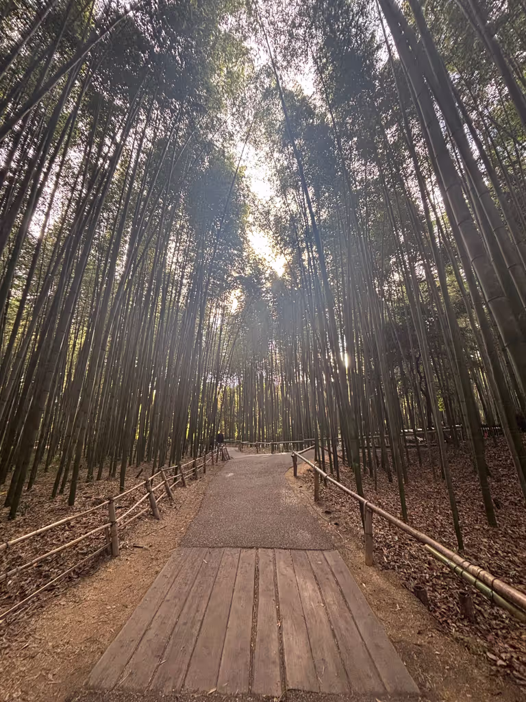 Kyoto Private Tour - 