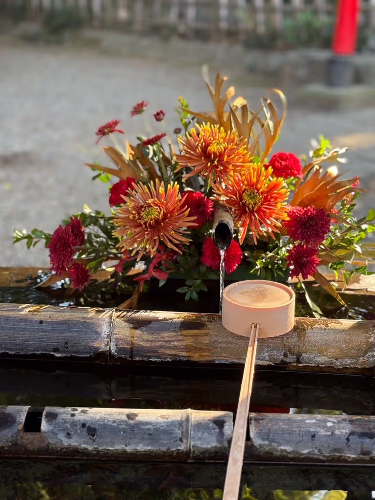 Saitama Private Tour - 