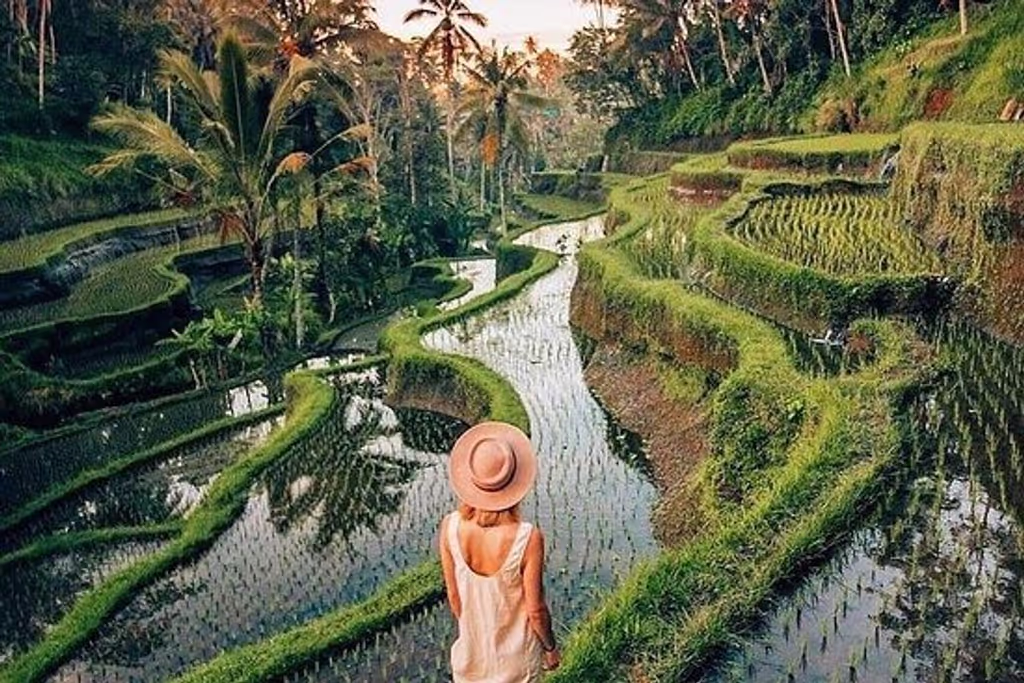 Bali Private Tour - Tegallalang rice terrace