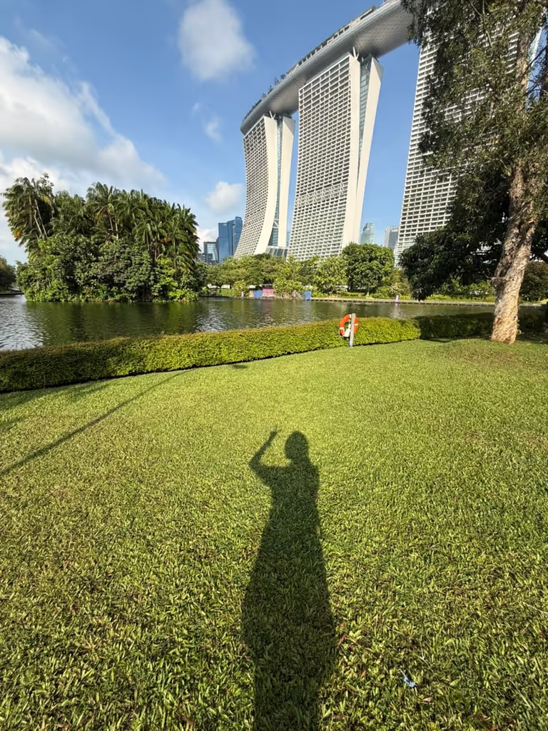 Singapore Private Tour - Gardens by the Bay