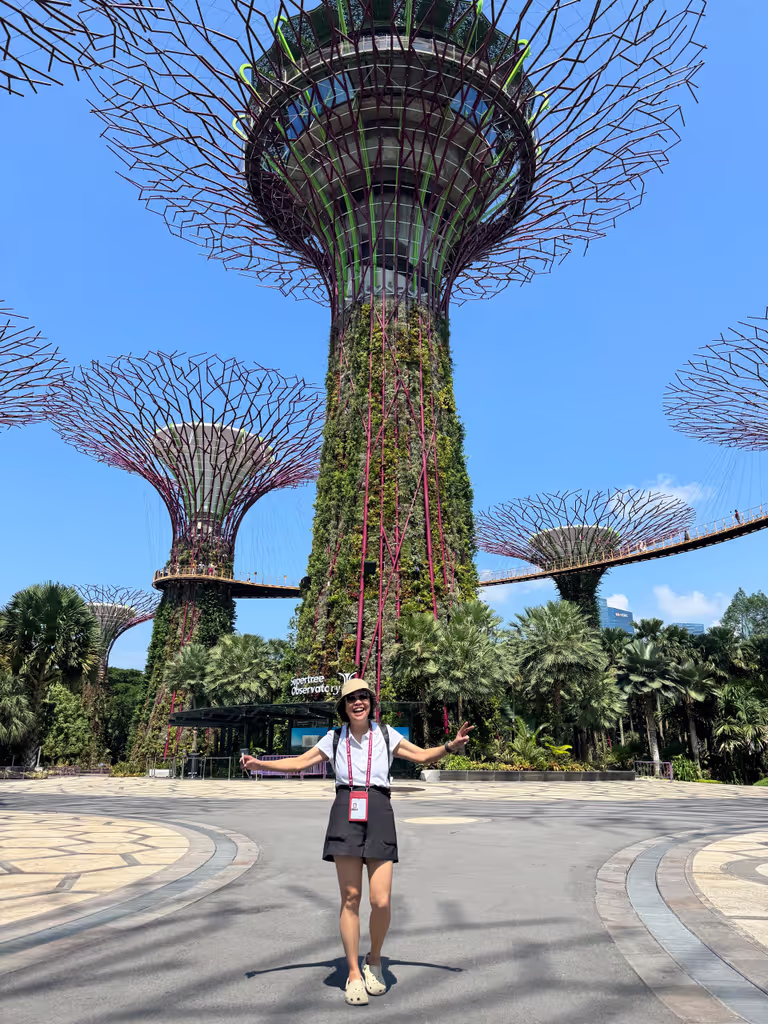 Singapore Private Tour - Supertree Grove