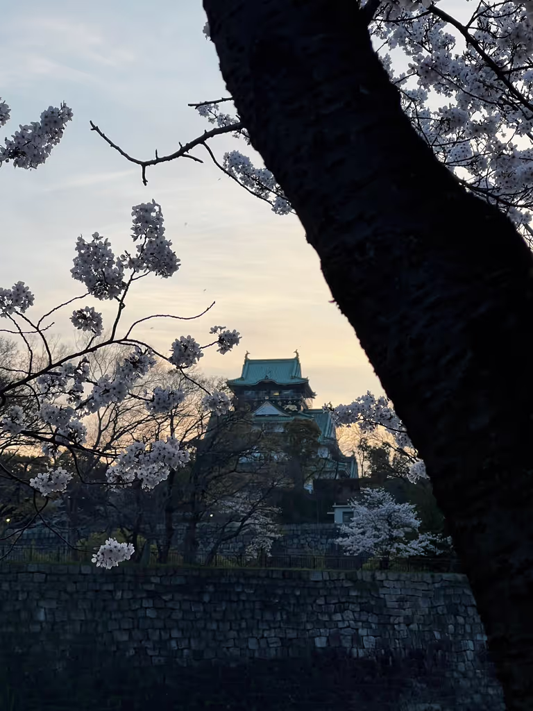 Osaka Private Tour - 