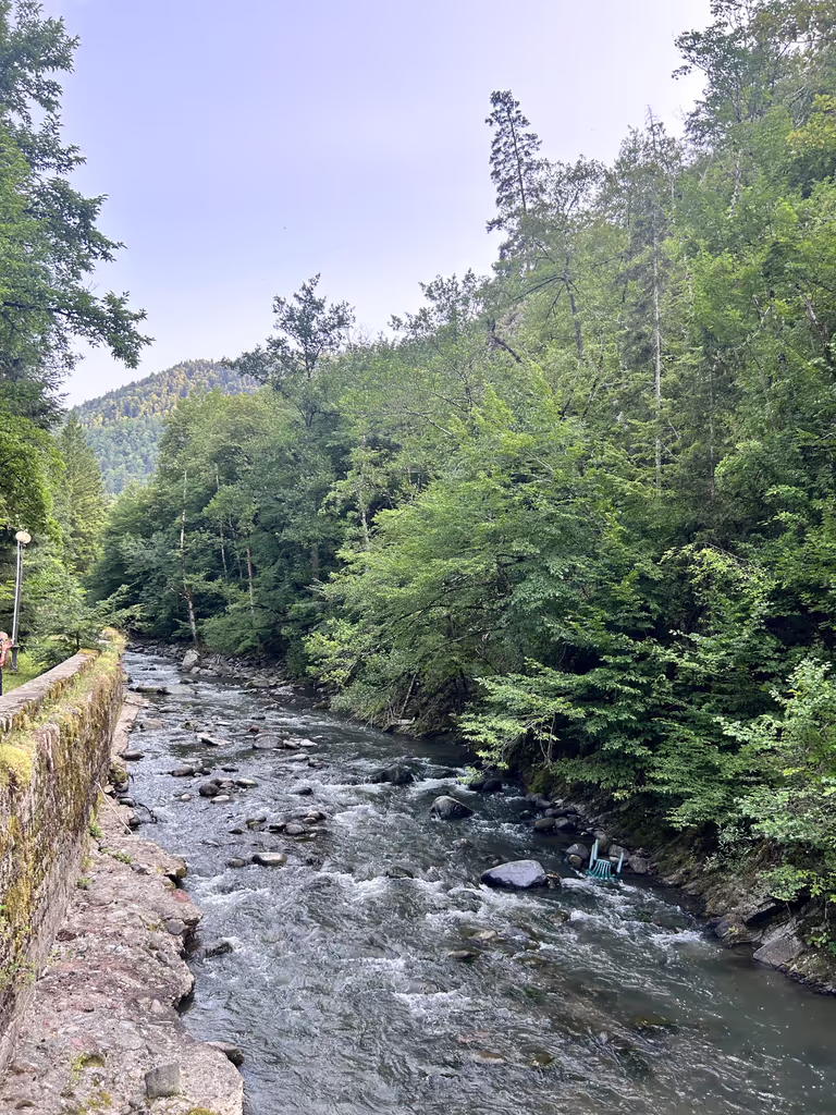 Tbilisi Private Tour - 