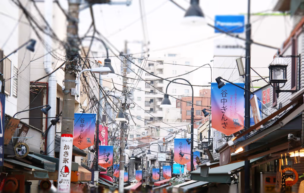 Tokyo Private Tour - 