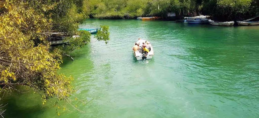 Colombo Private Tour - Madol duwa Boat safari