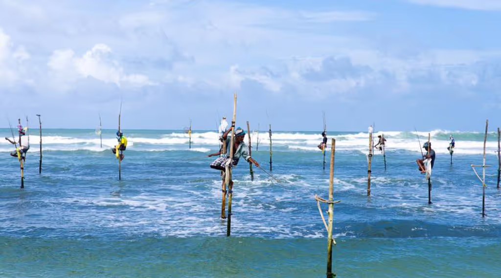 Colombo Private Tour - Stilt Fisherman