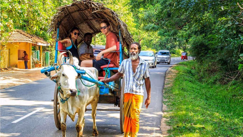 Colombo Private Tour - Village tour Sigiriya