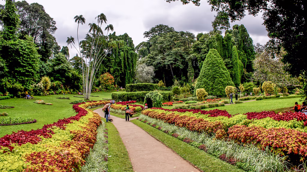 Colombo Private Tour - Botanical garden