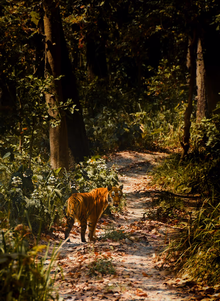 Bagmati Private Tour - 