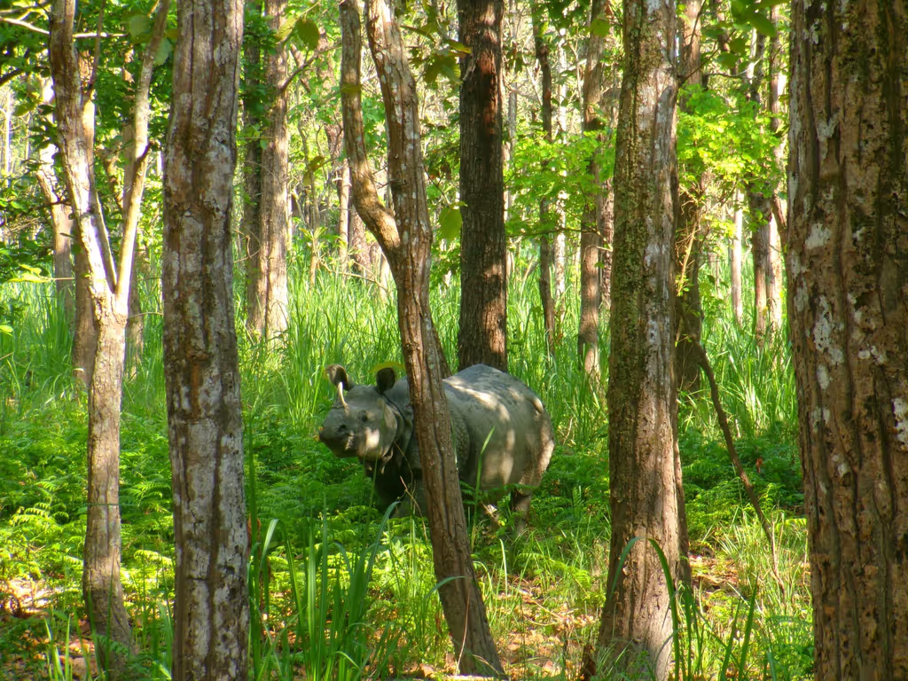 Bagmati Private Tour - 