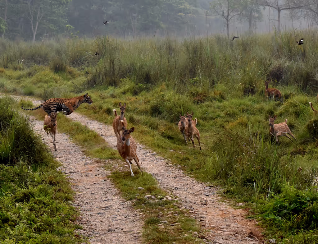 Bagmati Private Tour - 