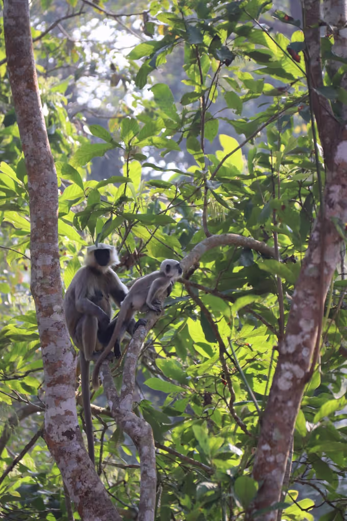 Bagmati Private Tour - 