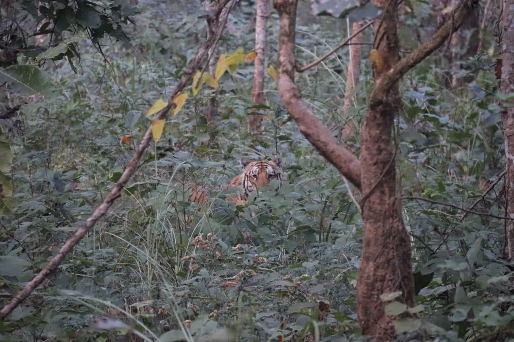 Bagmati Private Tour - 