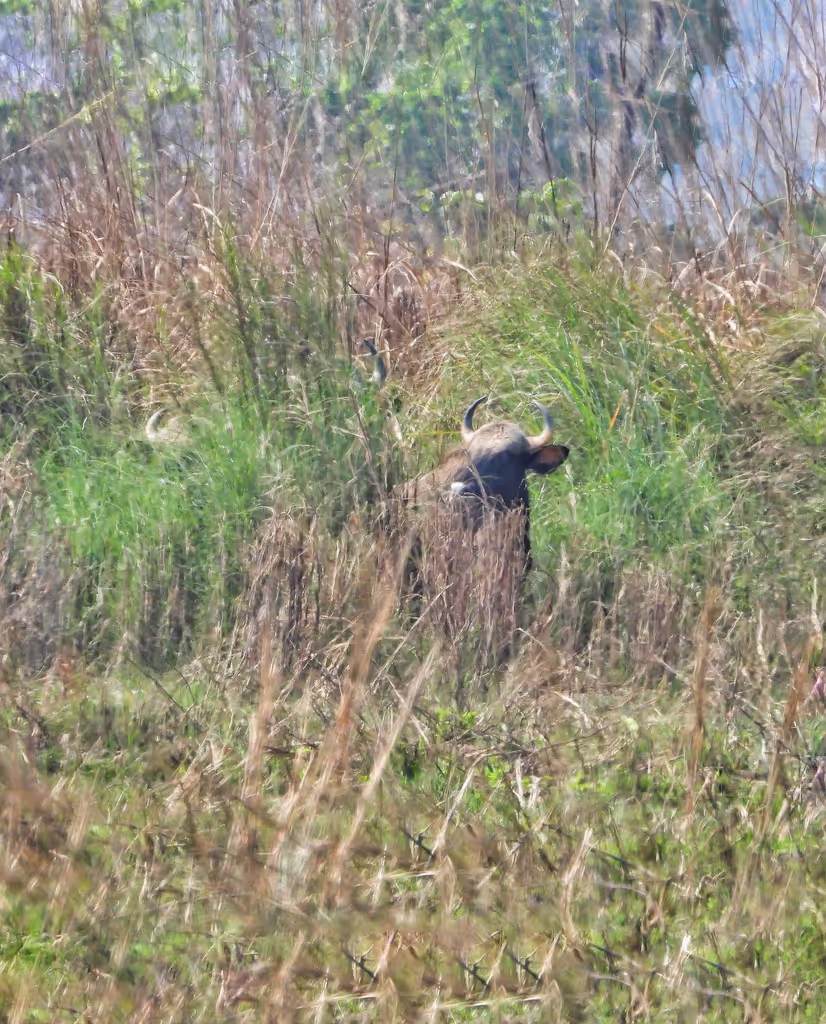 Bagmati Private Tour - 