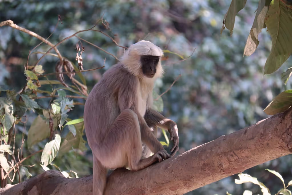 Bagmati Private Tour - 