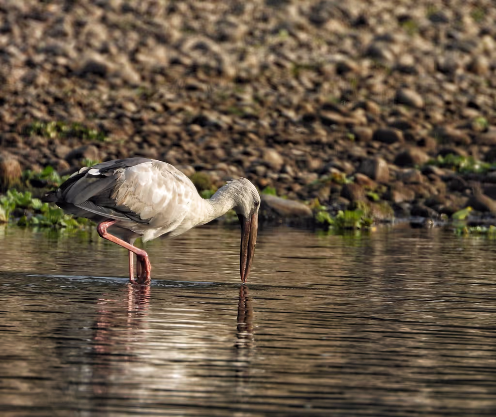 Bagmati Private Tour - 