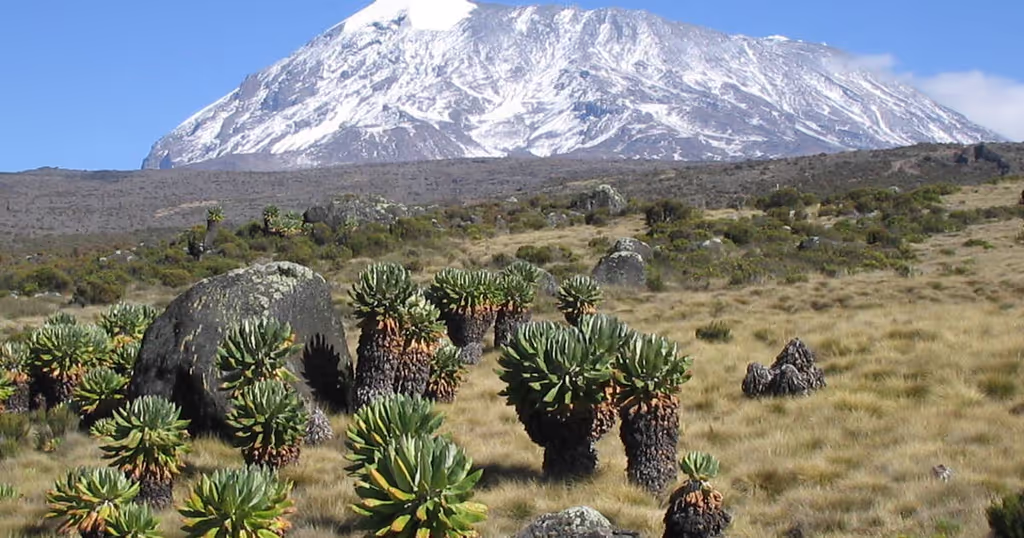 Kilimanjaro Private Tour - kilimanjaro