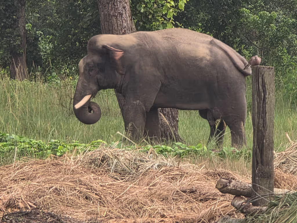 Narayani Private Tour - 
