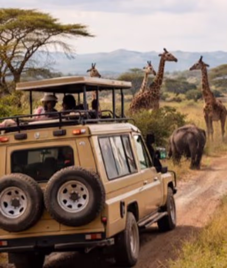 Kilimanjaro Private Tour - pop up 4*4 wheels jeep, landcruiser