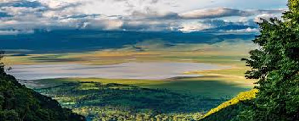 Kilimanjaro Private Tour - Ngorongoro crater