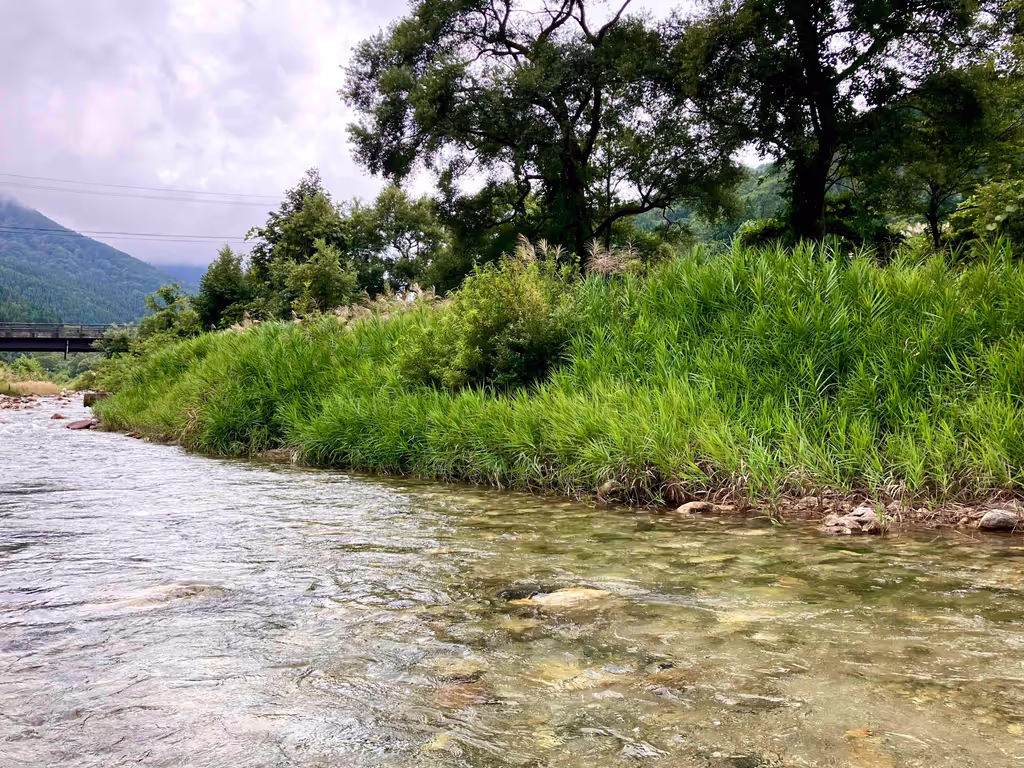 Toyama Private Tour - 