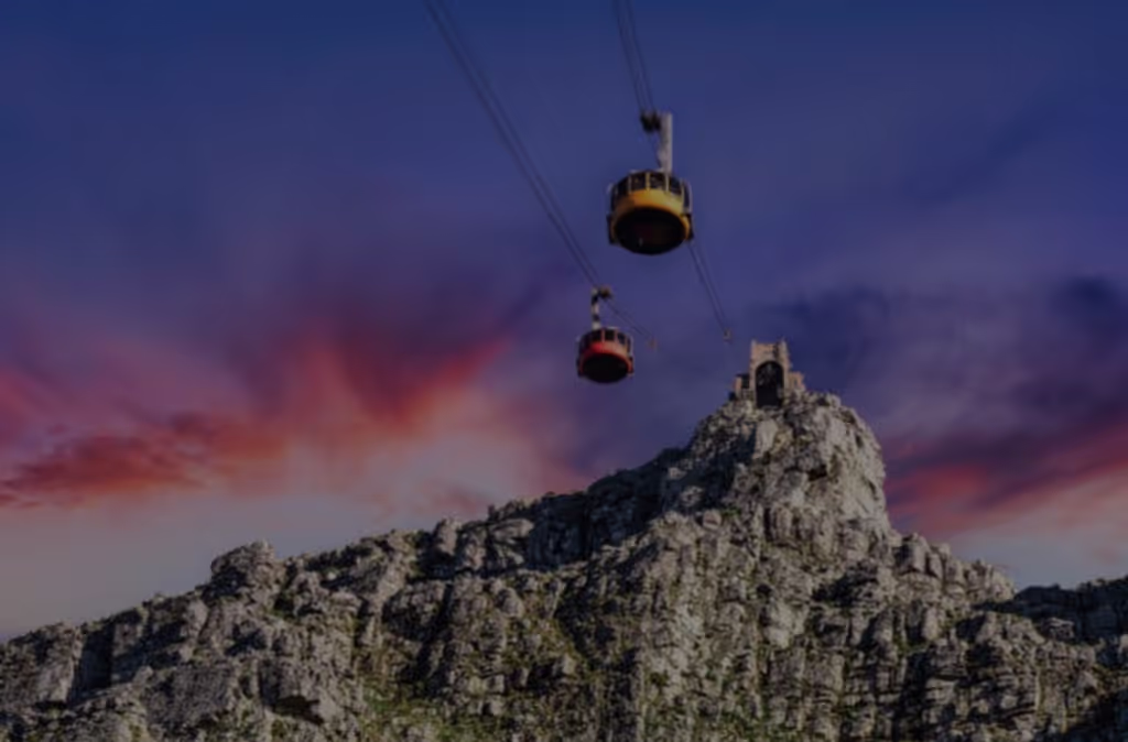 Cape Town Private Tour - 