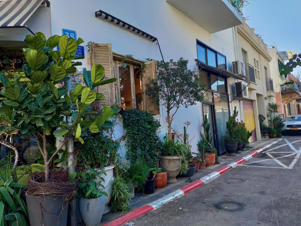 Tel Aviv Private Tour - Neve Tsedek allie