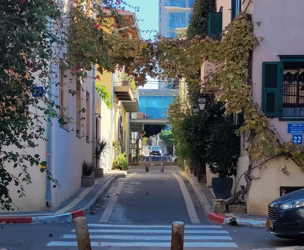 Tel Aviv Private Tour - Neve Tsedek