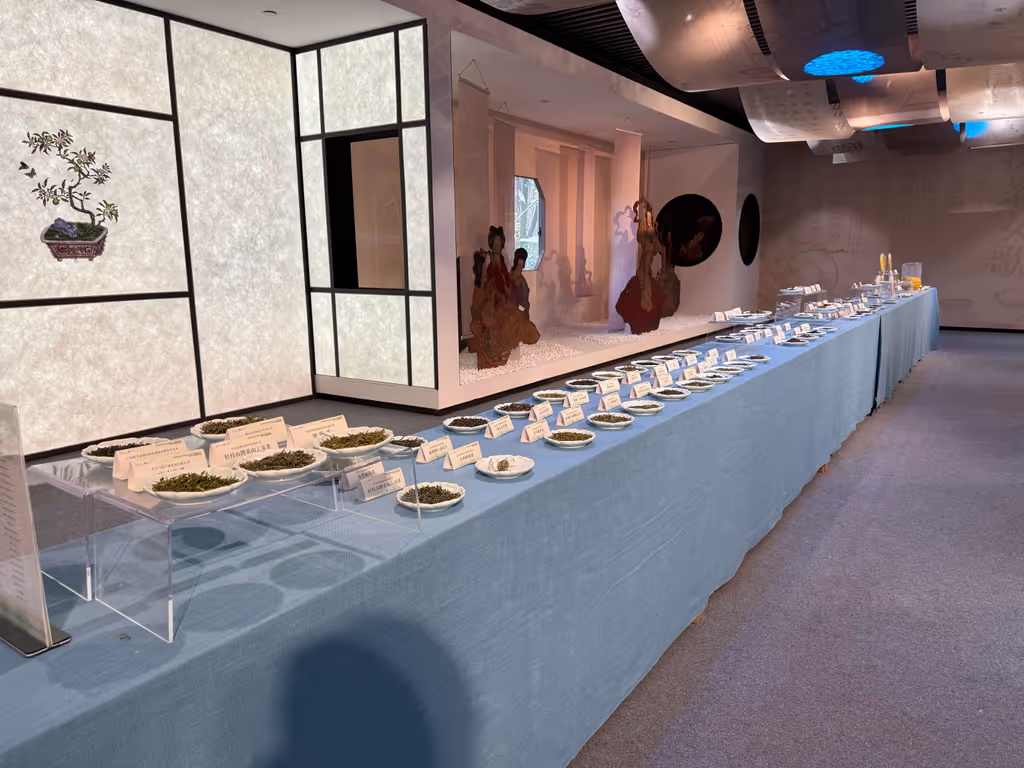 Hangzhou Private Tour - Tea Museum
