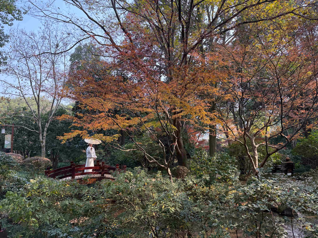 Hangzhou Private Tour - Tea Museum