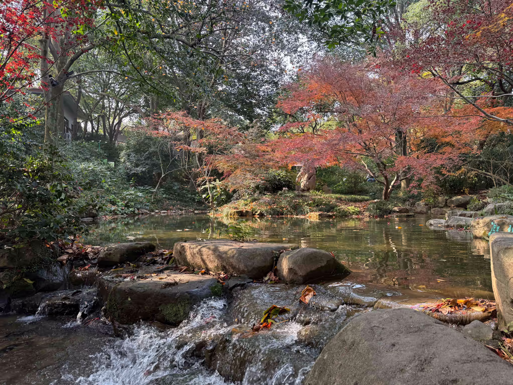 Hangzhou Private Tour - Tea Museum
