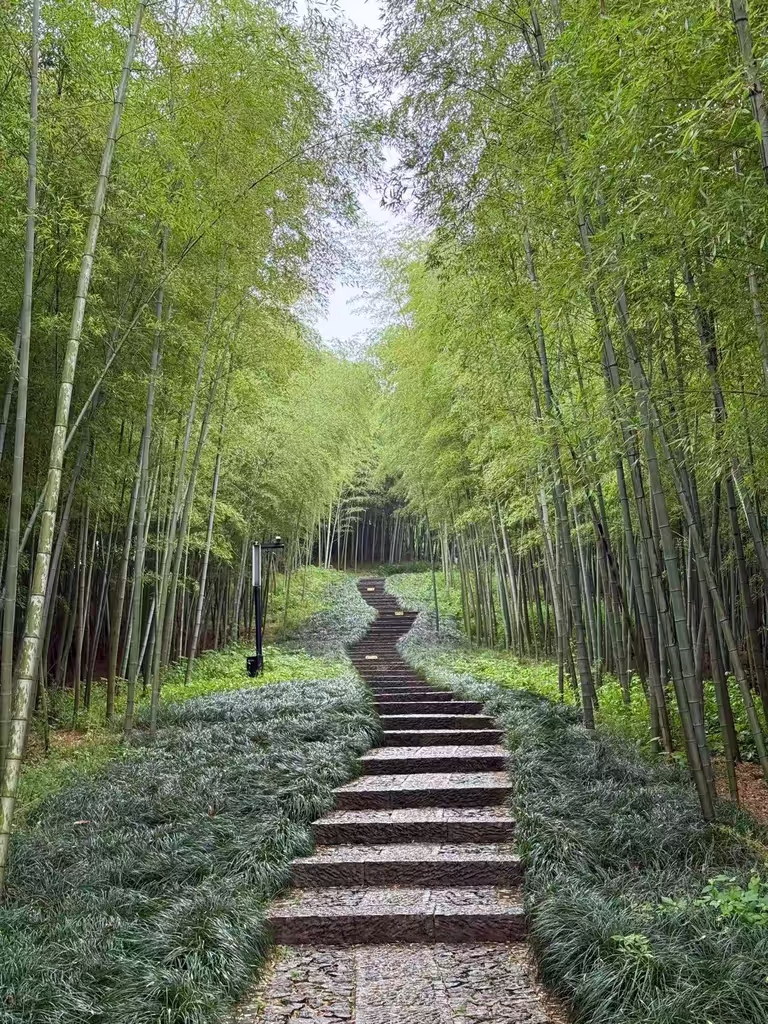 Hangzhou Private Tour - Liangzhu Park