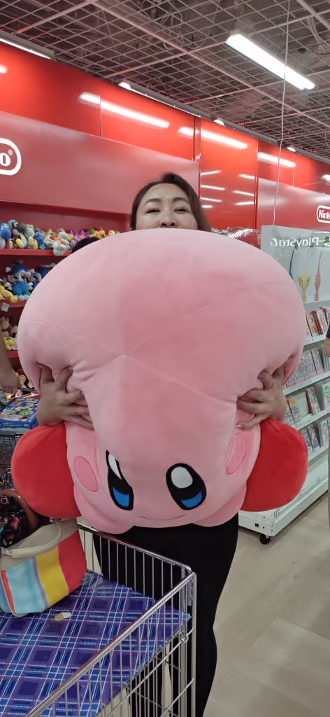 Osaka Private Tour - Yodobashi Camera