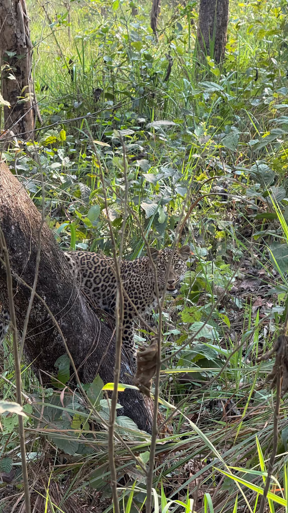 Narayani Private Tour - 