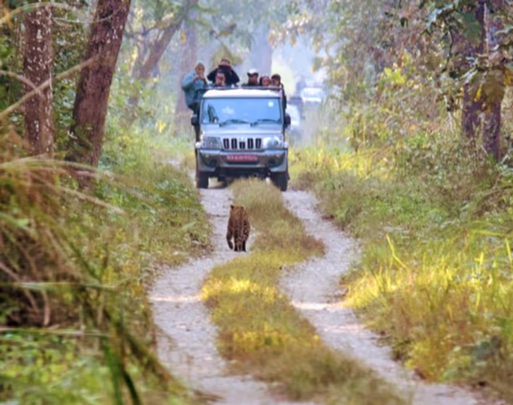 Narayani Private Tour - 