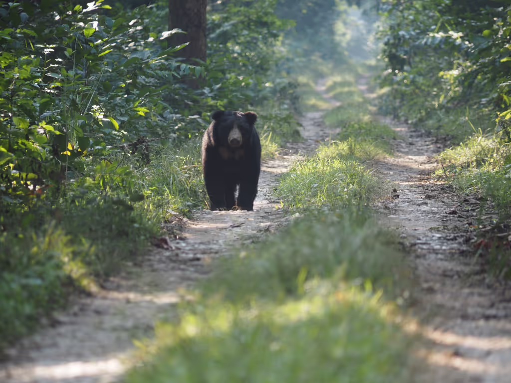 Narayani Private Tour - 