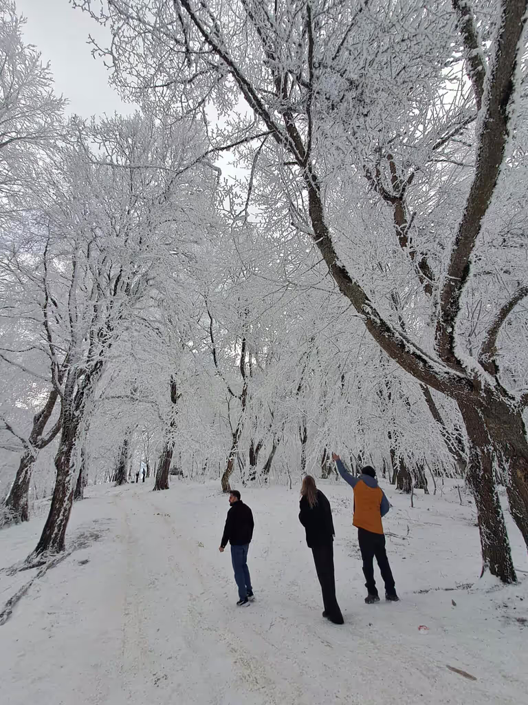 Tbilisi Private Tour - 