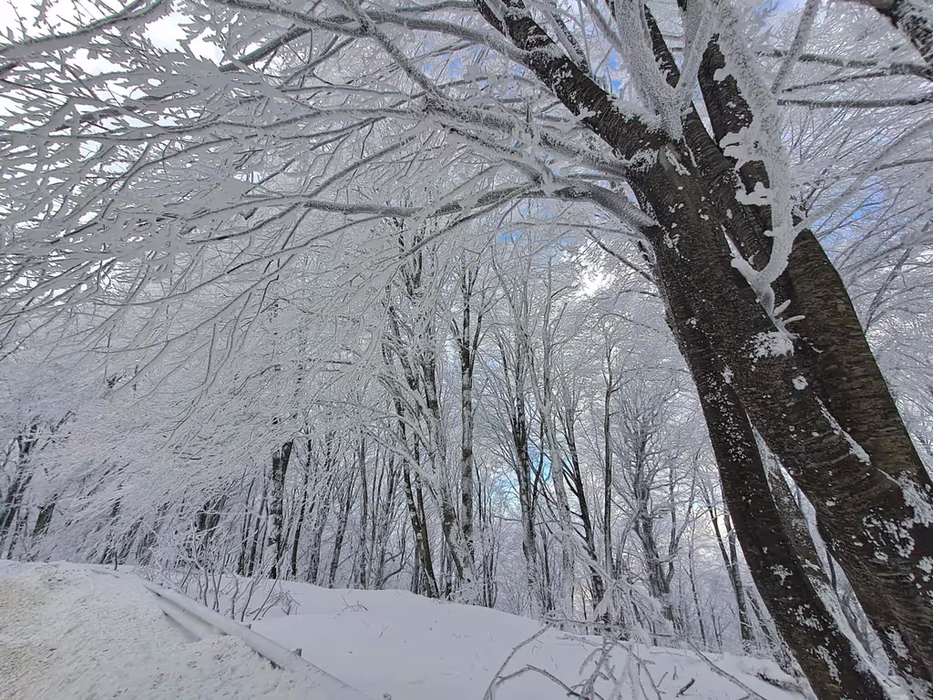 Tbilisi Private Tour - 