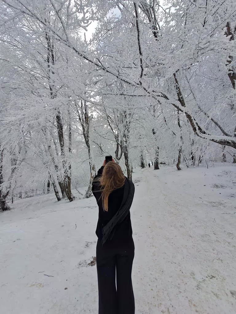 Tbilisi Private Tour - 