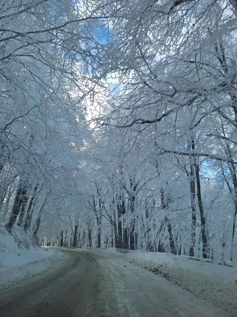 Tbilisi Private Tour - 