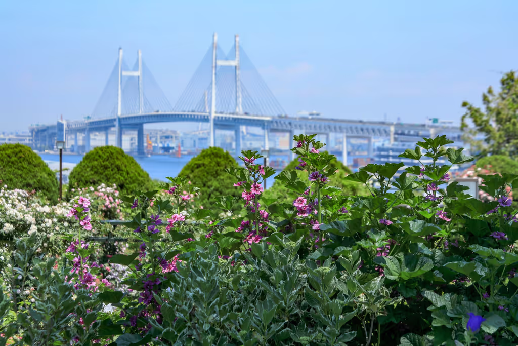 Yokohama Private Tour - This quiet hilltop park offers sweeping views of t