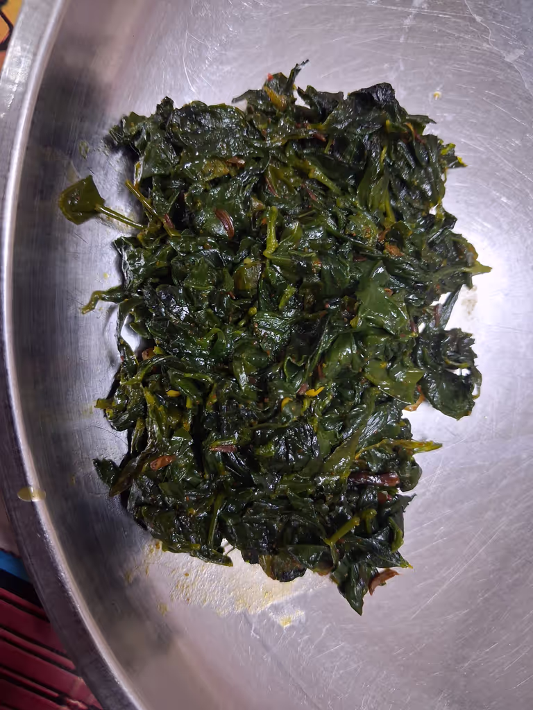 Udaipur Private Tour - Spinach