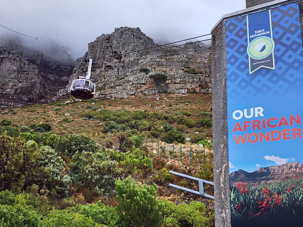Cape Town Private Tour - 