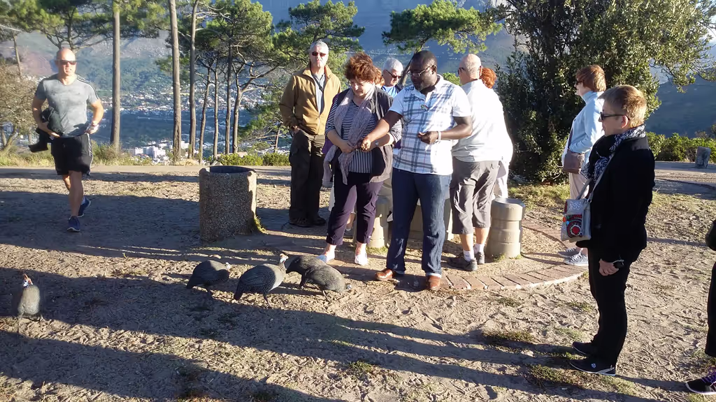 Cape Town Private Tour - 