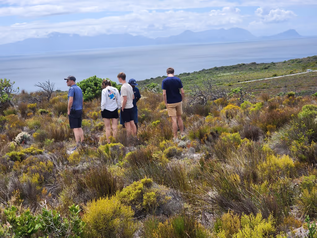 Cape Town Private Tour - 