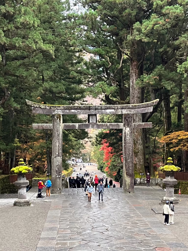 Nikko Private Tour - 