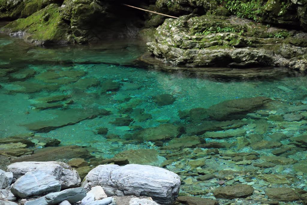 Kochi Private Tour - Niyodo Blue River