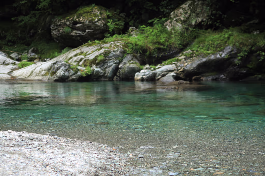 Kochi Private Tour - Niyodo Blue River