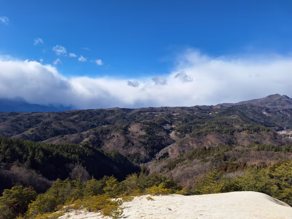 Yamanashi Private Tour - Mount White Observation Point