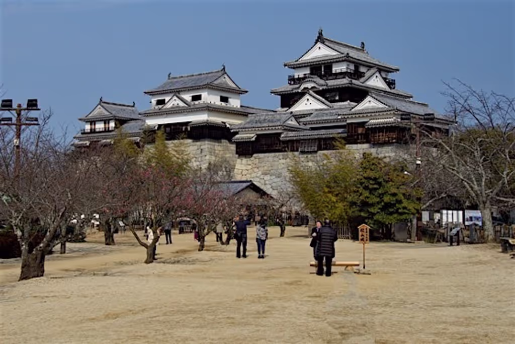 Ehime Private Tour - 